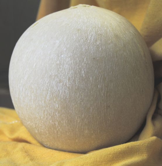 Risultati immagini per formaggio il pallone di gravina di puglia