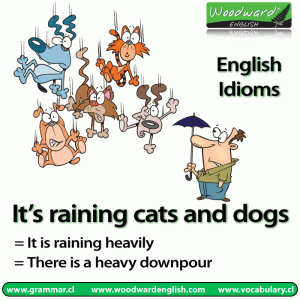 raining-cats-and-dogs-idiom