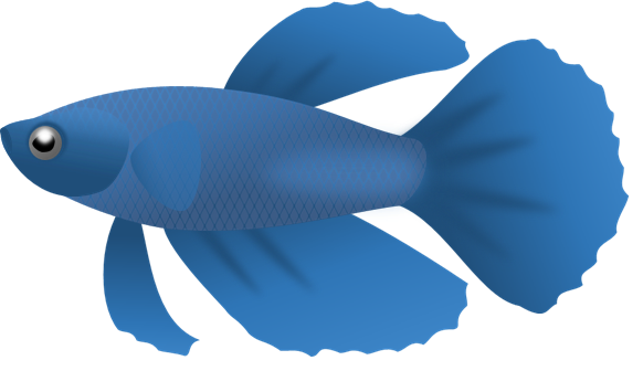 Blue Rim Logo Ikan Cupang Vector Gudang Gambar Vector PNG