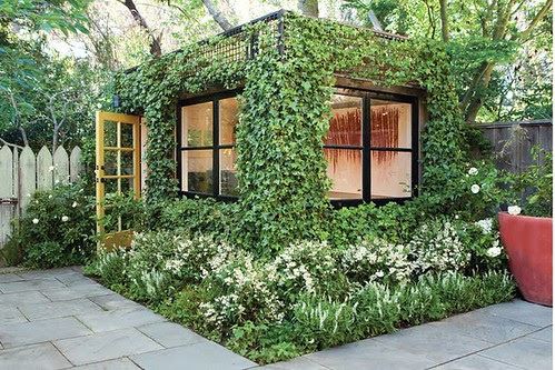 Ivy Shed