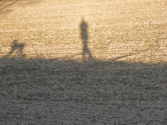 P1010707