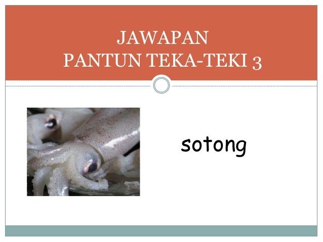 Contoh Soalan Iq Dan Jawapan - Recipes Site g