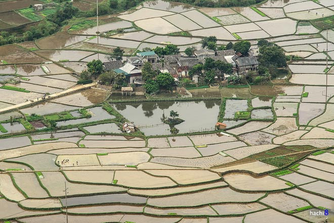 Một xóm nhỏ nằm giữa cánh đồng mênh mông nước Thung lũng Mai Châu nên thơ vào vụ cấy