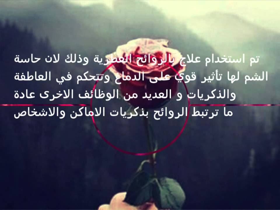 مدونة كلمات حب عن الورد