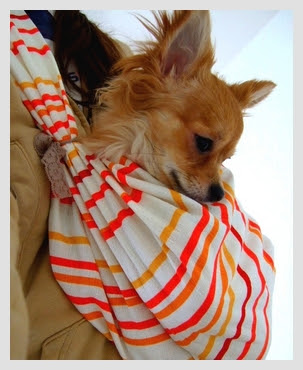 無料印刷可能な画像 最高 Ever 犬 スリング 作り方