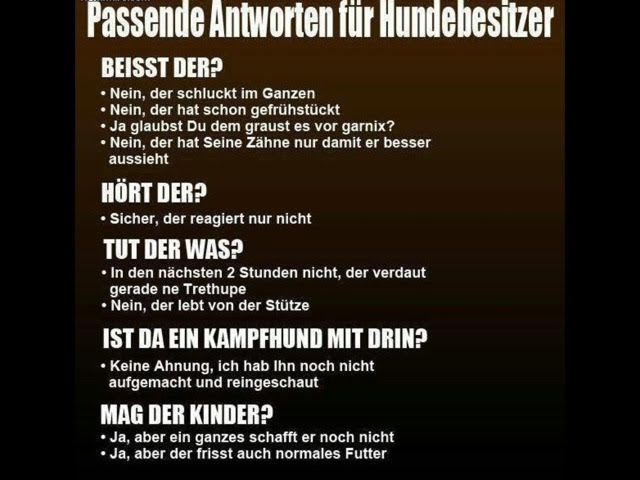Lustige Sprüche Nachtdienst schöne zitate leben