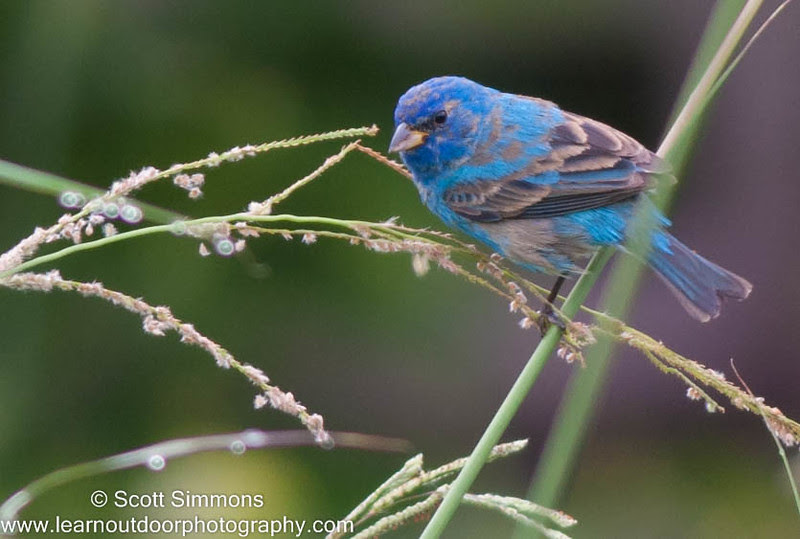 Photo & Video Sharing by SmugMug Photo & Video Sharing by SmugMug