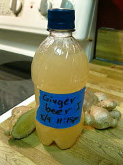 Ginger Beer I