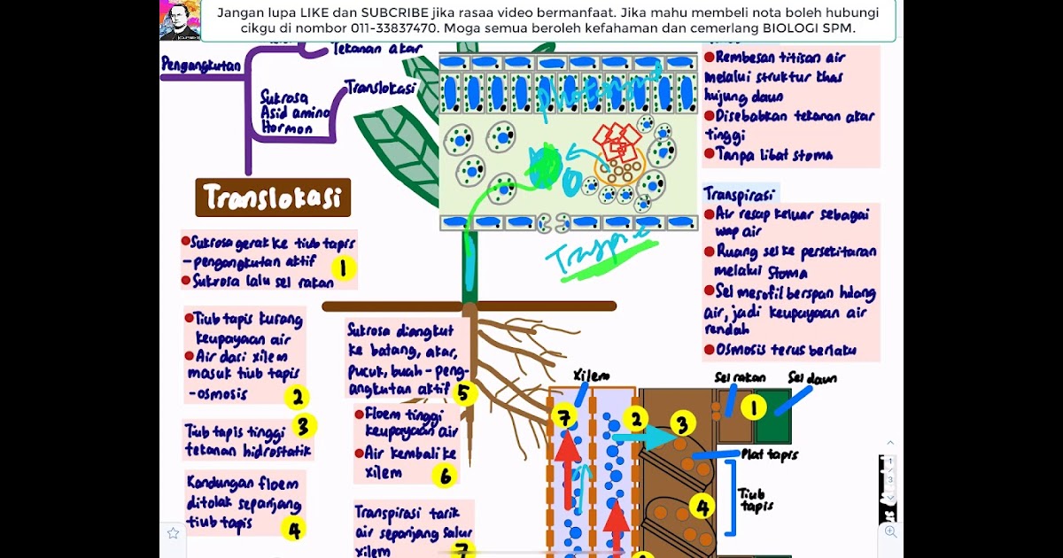 Biologi Tingkatan 5 Bab 4 / Module More Biologi Tg 4  Latihan topikal