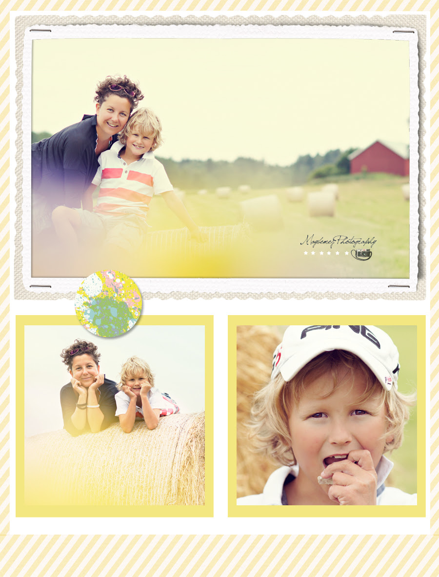 collage2
