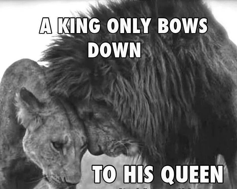 Quotes About Love Queen Retro Future