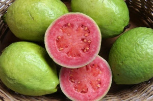 jambu-biji