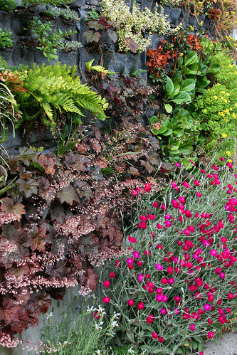 interesting what does well and what doesn't in a vertical garden