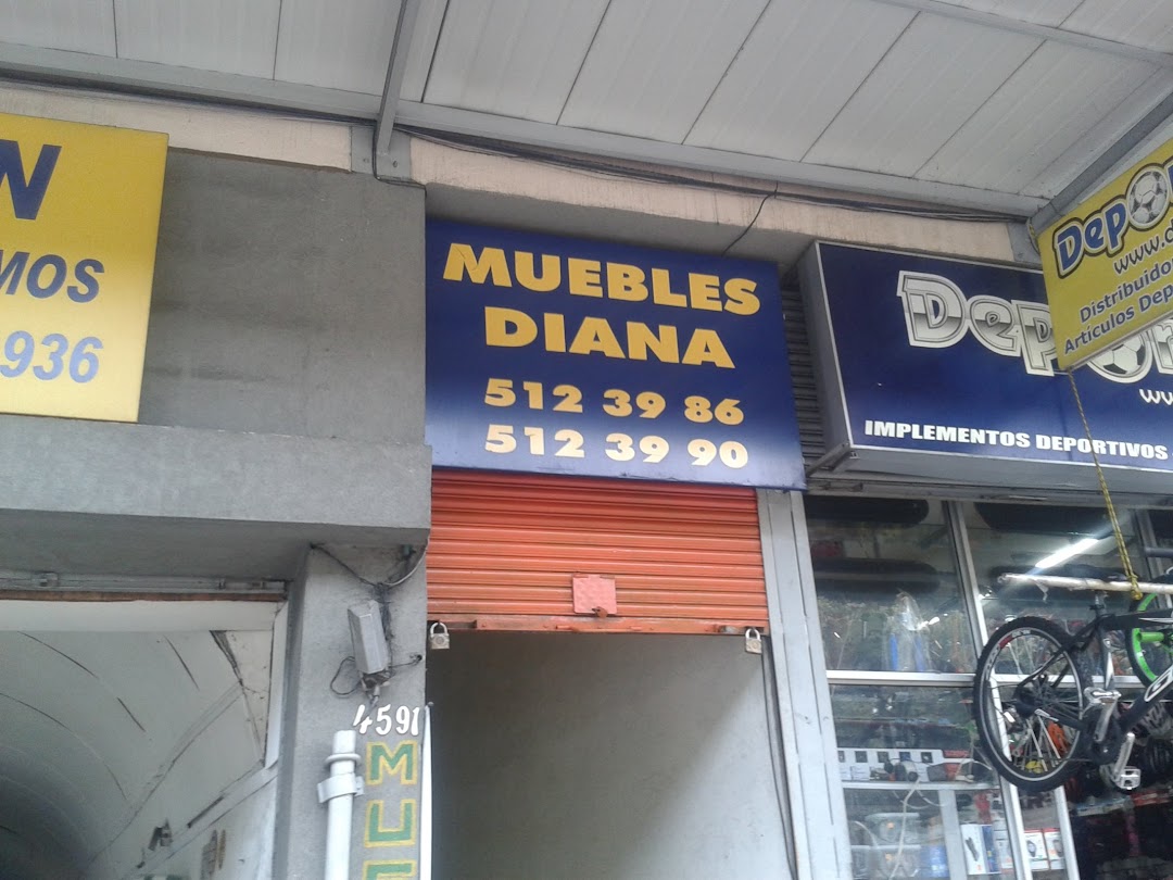 MUEBLES DIANA