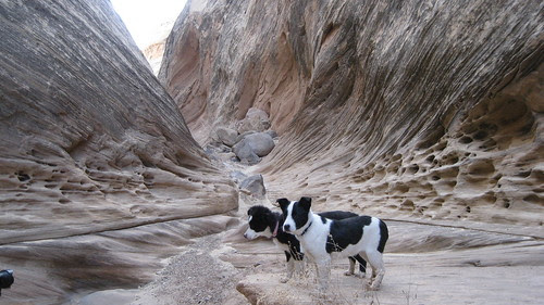 03.26.10 Farnsworth Canyon