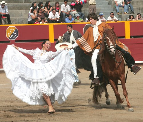 Marinera con caballo peruano de paso