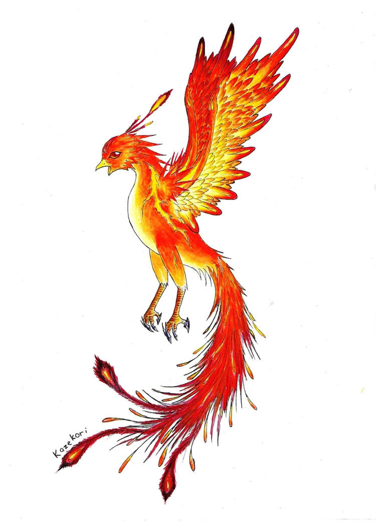 Phoenix Harry Potter Tatouage Téléchargement Gratuit