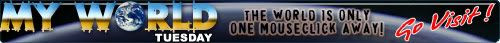 MWT Narrow Banner