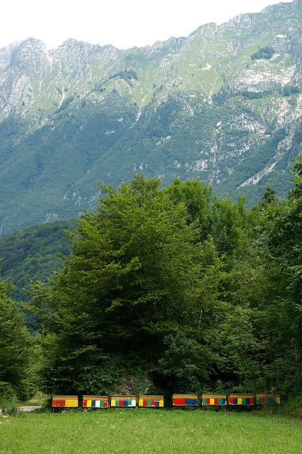 DSC03355 - Version 2