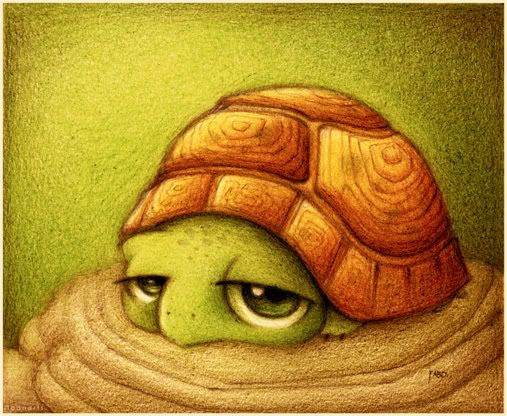 sad turtle