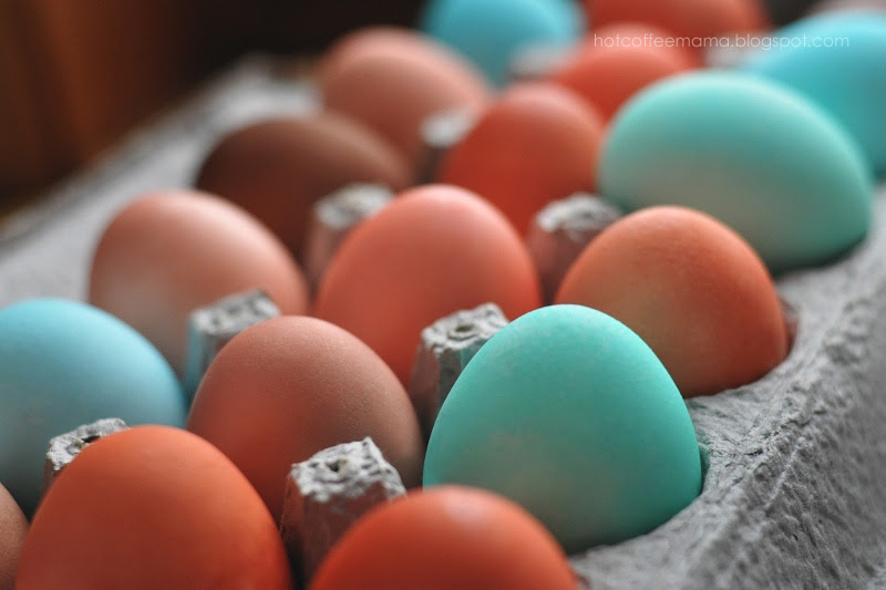 DSC_0422re (800x533)