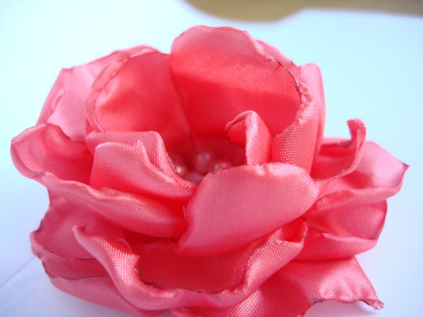 DSC05055 DSC05055