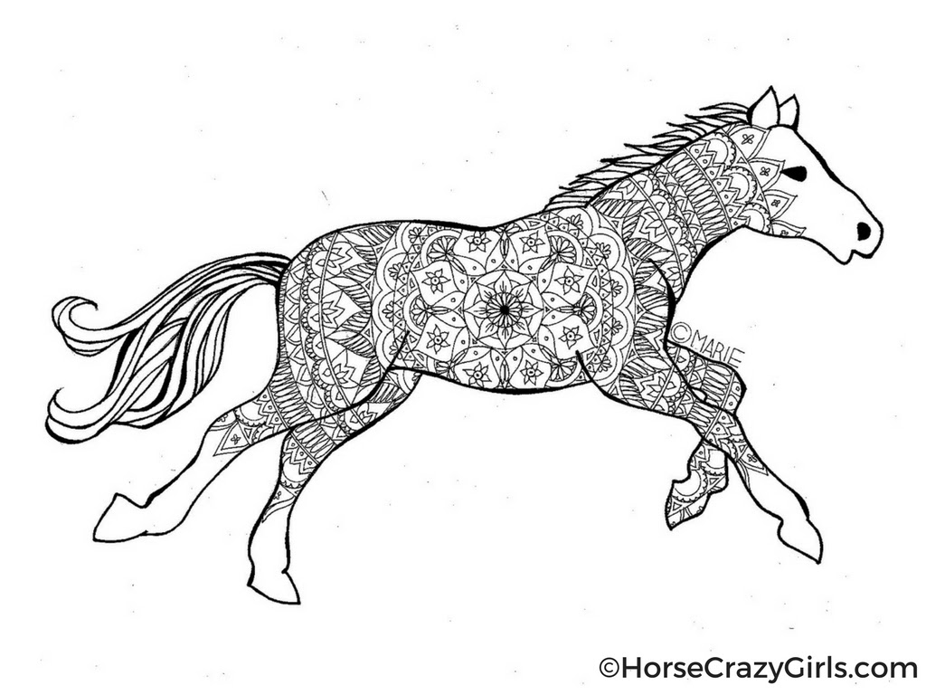 44 FREE PRINTABLE HORSE COLORING PAGES - * FreePrintable