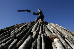 Un carbonero en la Ciénaga de Zapata. (REUTERS) Un carbonero en la Ciénaga de Zapata. (REUTERS)