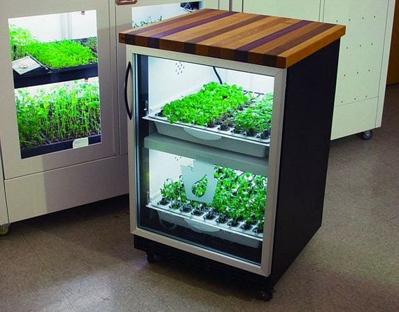 Hydroponic System Grow Box Indoor Gardening Make Aquaponics