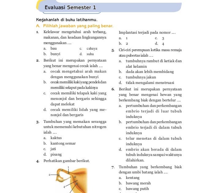 Soal Essay Ipa Kelas 6