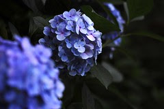 2010-07-03 14-21-51
