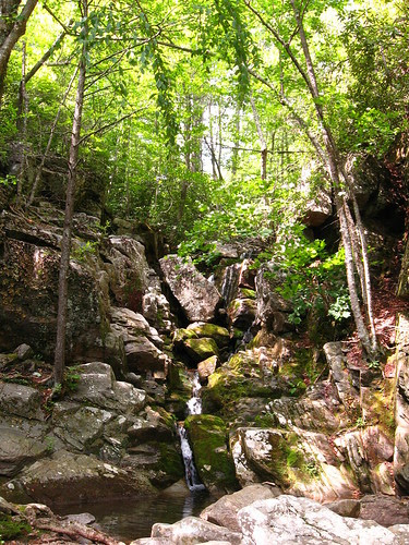 White Rock Falls Trail