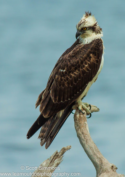 Photo & Video Sharing by SmugMug Photo & Video Sharing by SmugMug