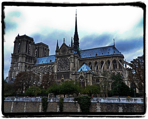 notre dame© by Haalo