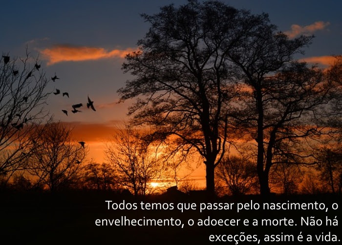 Os Segredos da Idade