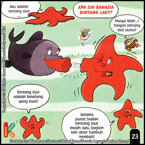 26+ Hewan laut animasi information