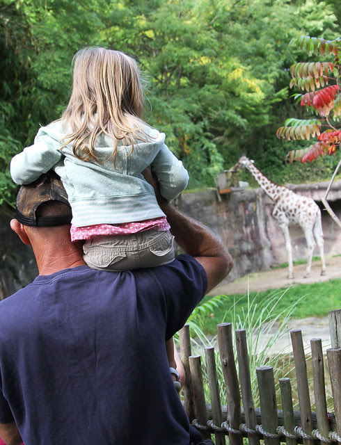 zoo10