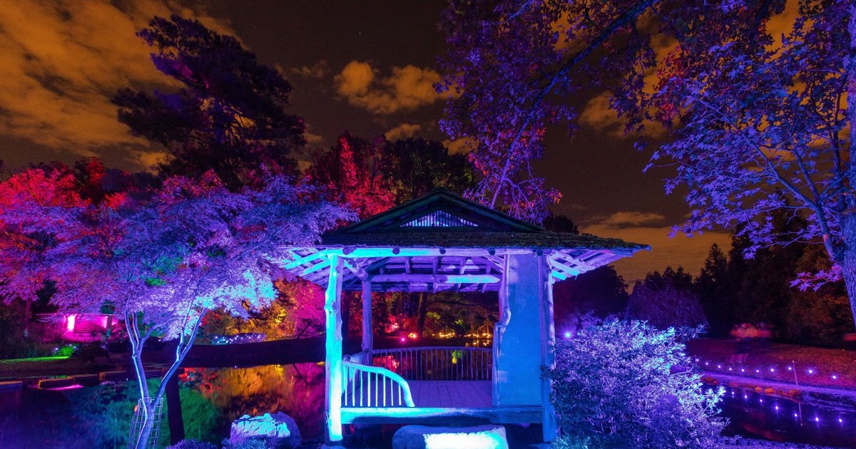 Garden Glow 2020 Maymont Garden Glow In Maymont Photograph By Doug