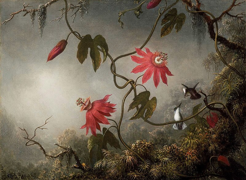 MJ Heade Passion Flowers and Hummingbirds