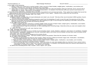 41 Photography Merit Badge Worksheet Answers - combining like terms
