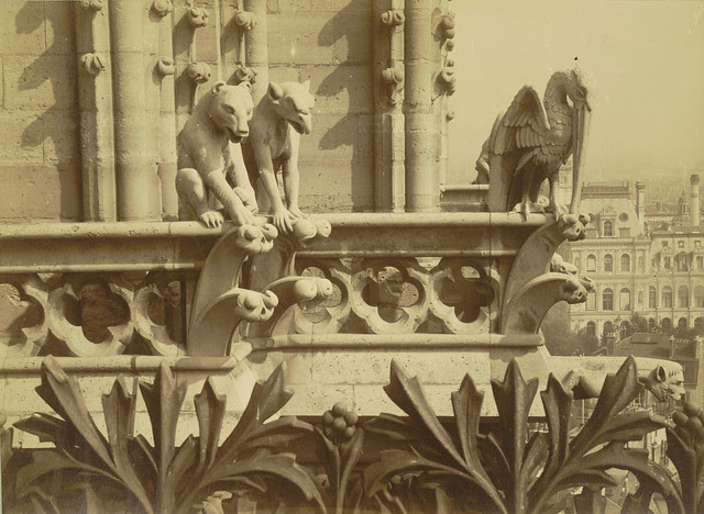 Notre Dame de Paris. Tower with Chimeras