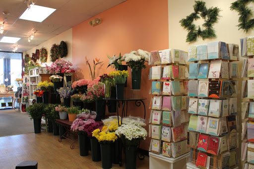 Florist «Bedford Florist and Gifts», reviews and photos, 315 Great Rd, Bedford, MA 01730, USA