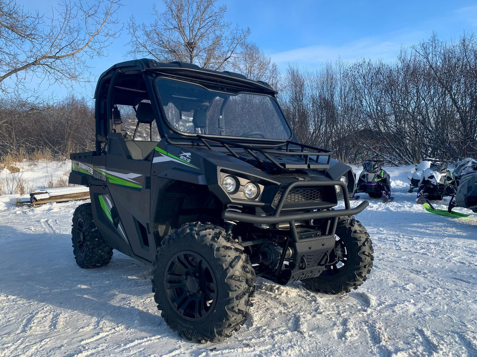 Arctic Cat Become A Dealer - Cat Meme Stock Pictures and Photos
