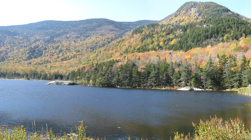 beaver_pond
