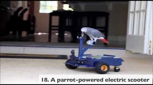 posted image