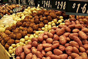 Potatoes are one of the most used staple foods.