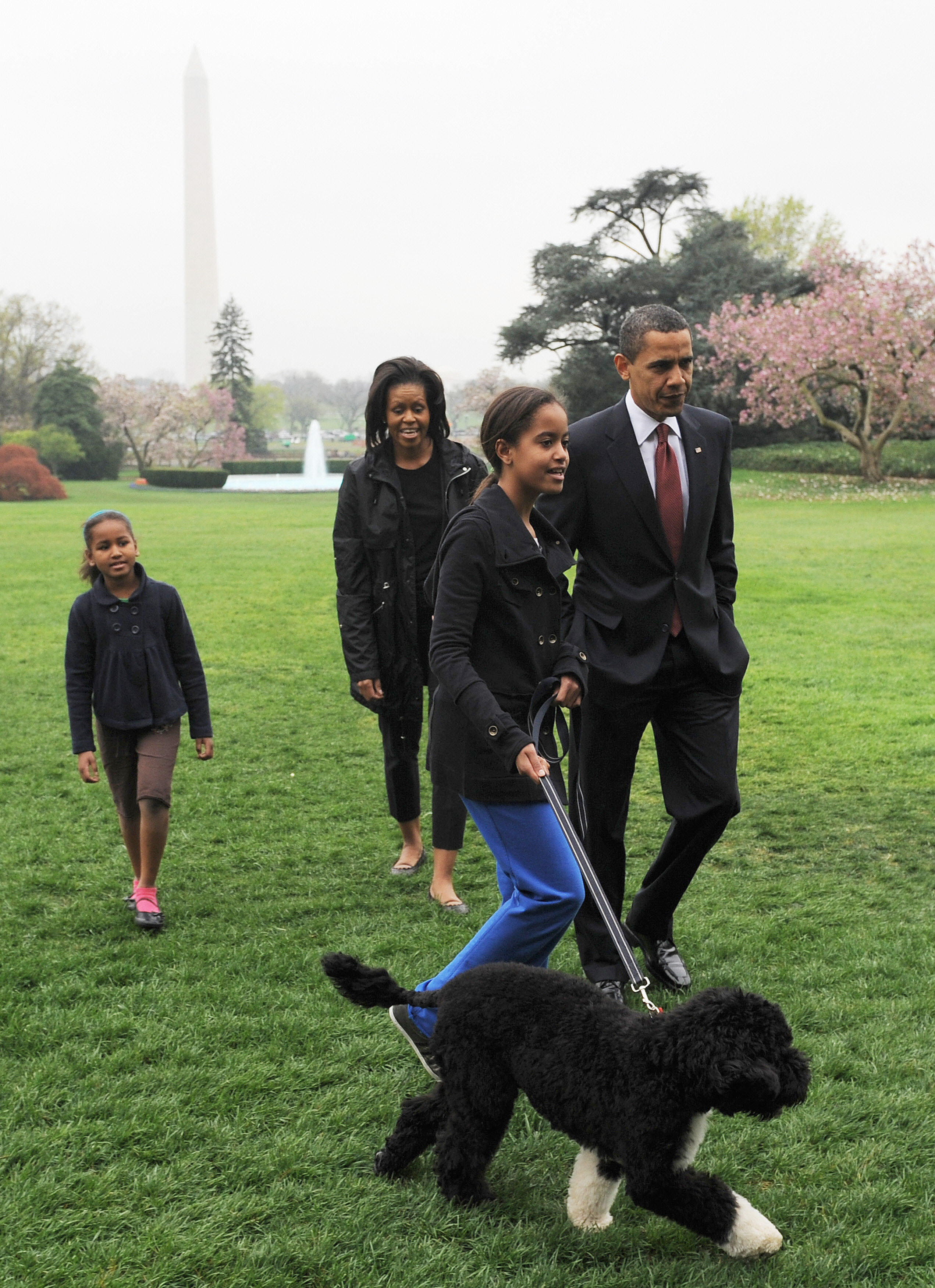 Barack Obama Hund Bo / Weißes Haus Sunny Zweiter Hund zieht bei den
