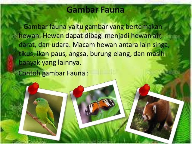 Ciri flora fauna alam benda