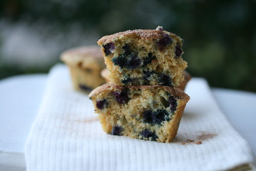 Blueberry Cornmeal Muffins - Williams Sonoma
