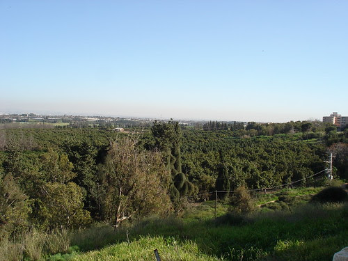A view of Israel's Sharon region